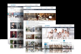 打造視覺盛宴 裝飾網站網頁設計的核心要素與實踐指南